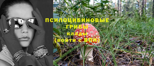 метадон Арсеньев